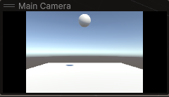 Main Camera Preview